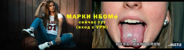 ГАЛЛЮЦИНОГЕННЫЕ ГРИБЫ Богданович