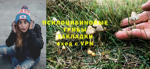 гидропоника Богородицк