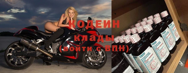 ГАЛЛЮЦИНОГЕННЫЕ ГРИБЫ Богданович