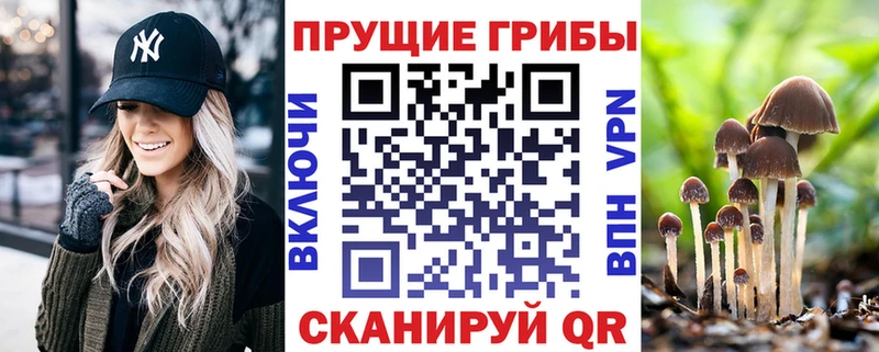 Псилоцибиновые грибы Cubensis  Киреевск 